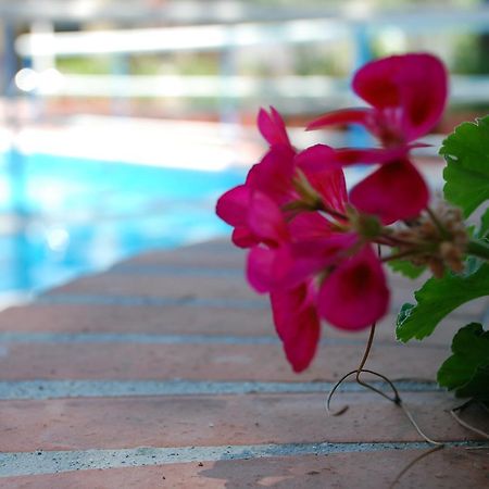 Hotel La Villa Misterbianco Eksteriør bilde
